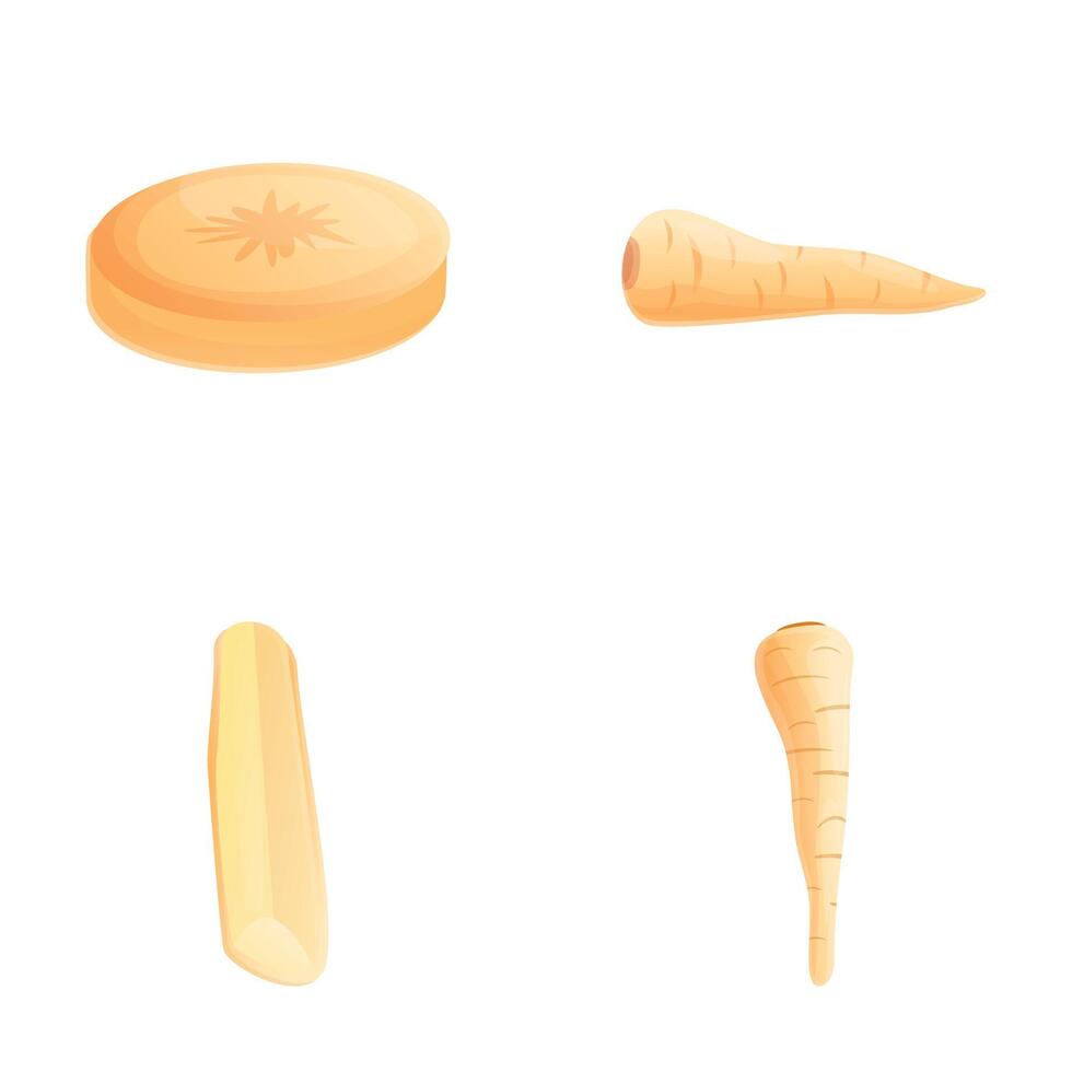 Fresh parsnip icons set cartoon . Whole and sliced parsnip root vector