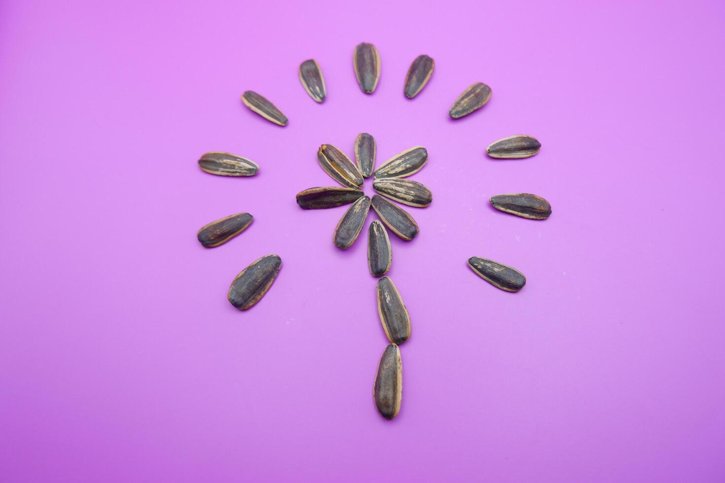 a collection of sunflower seeds isolated on a purple background. Sunflower seeds are used as snacks. photo