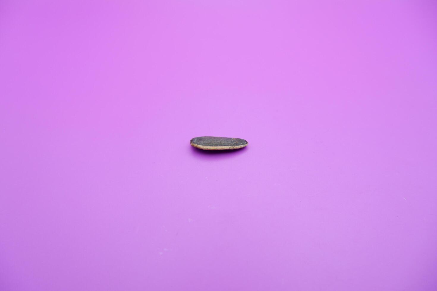 a sunflower seed isolated on a purple background photo