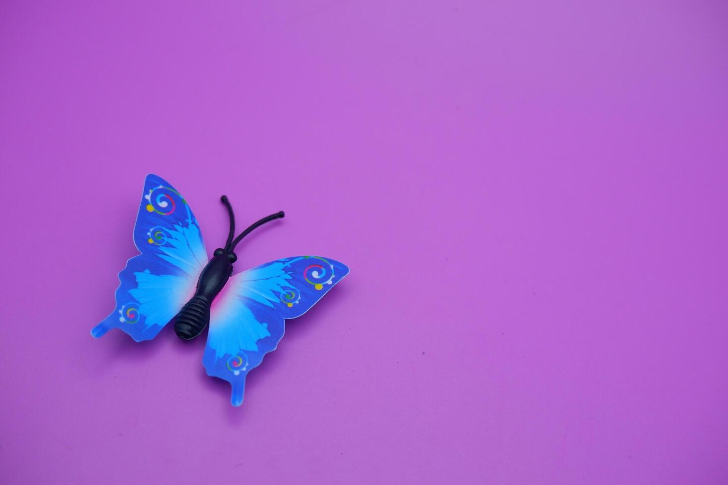 butterfly toy isolated on purple background. toy butterfly with blue wings. photo