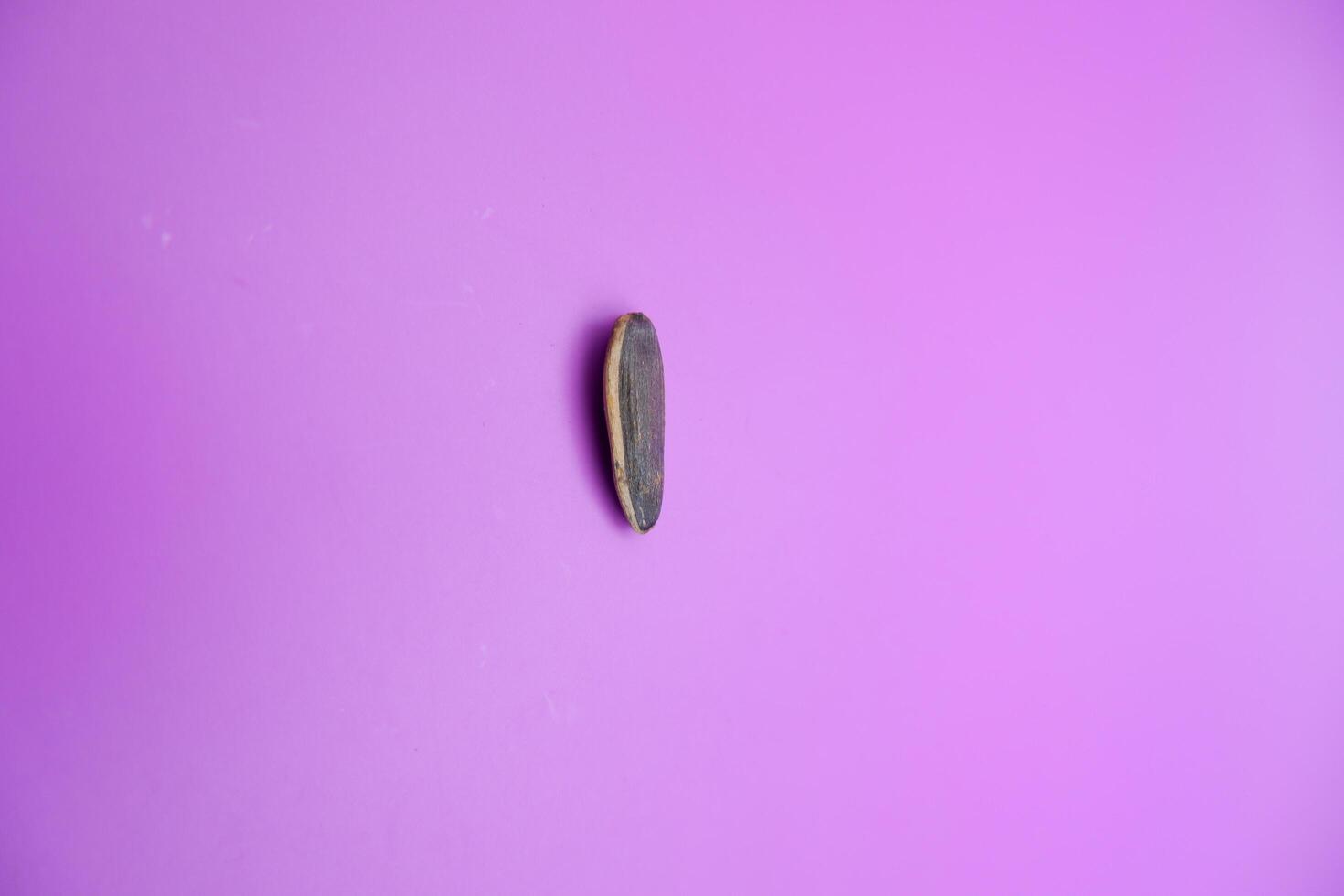 a sunflower seed isolated on a purple background photo
