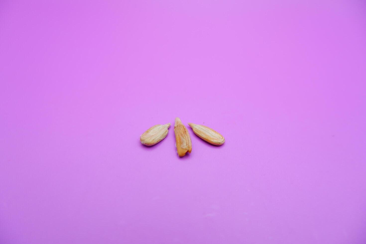 peeled sunflower seeds snack isolated on a purple background photo