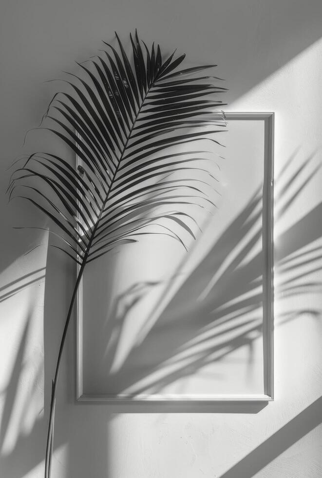 Palm Tree Shadow on a White Wall With a Recessed Square photo