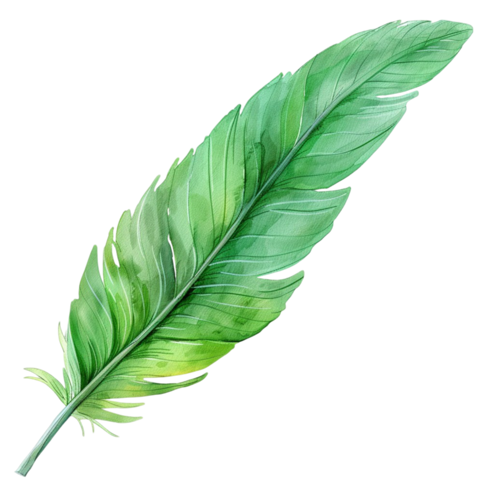 The Green Leaf Collection Embrace the Freshness png
