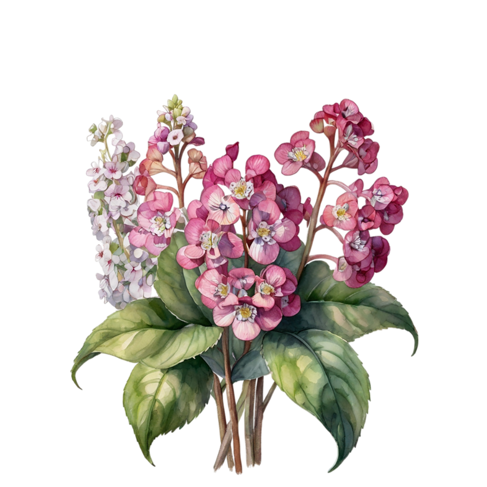 Watercolor Flower Bouquet png