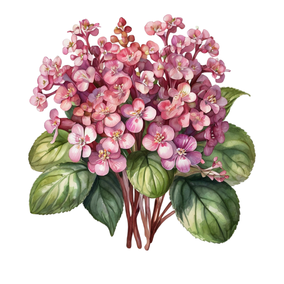Watercolor Flower Bouquet png