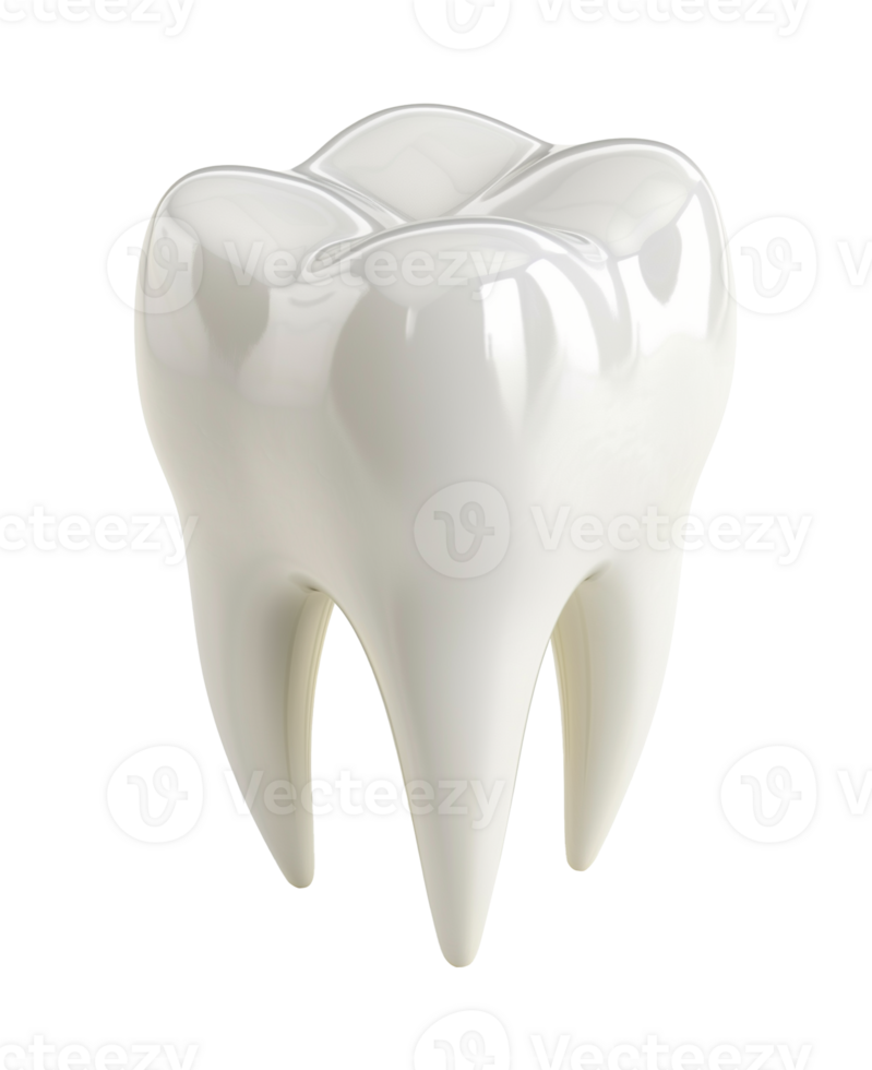 Pearly White Tooth Isolated on Transparent Background png