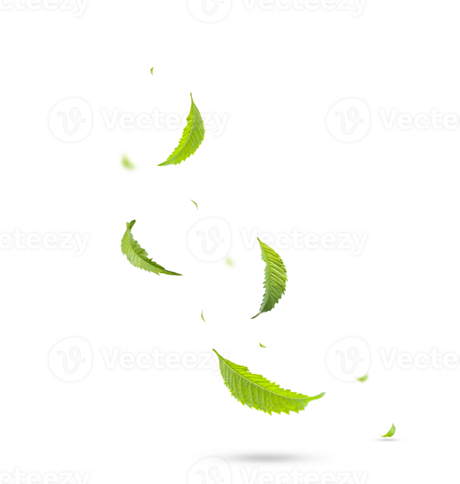 Green Floating Leaves Flying Leaves Green Leaf Dancing, Air Purifier Atmosphere Simple Main Picture png