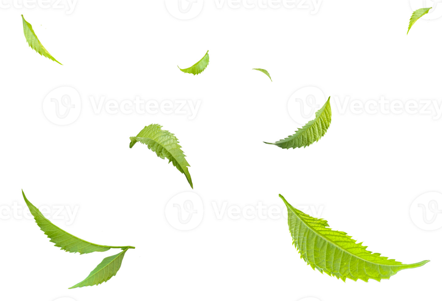 Green Floating Leaves Flying Leaves Green Leaf Dancing, Air Purifier Atmosphere Simple Main Picture png