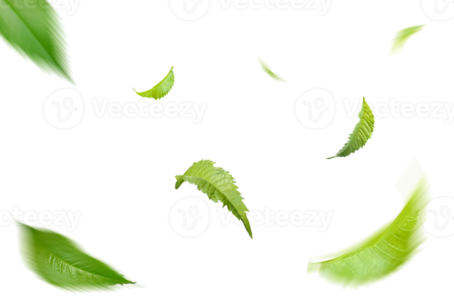 Green Floating Leaves Flying Leaves Green Leaf Dancing, Air Purifier Atmosphere Simple Main Picture png