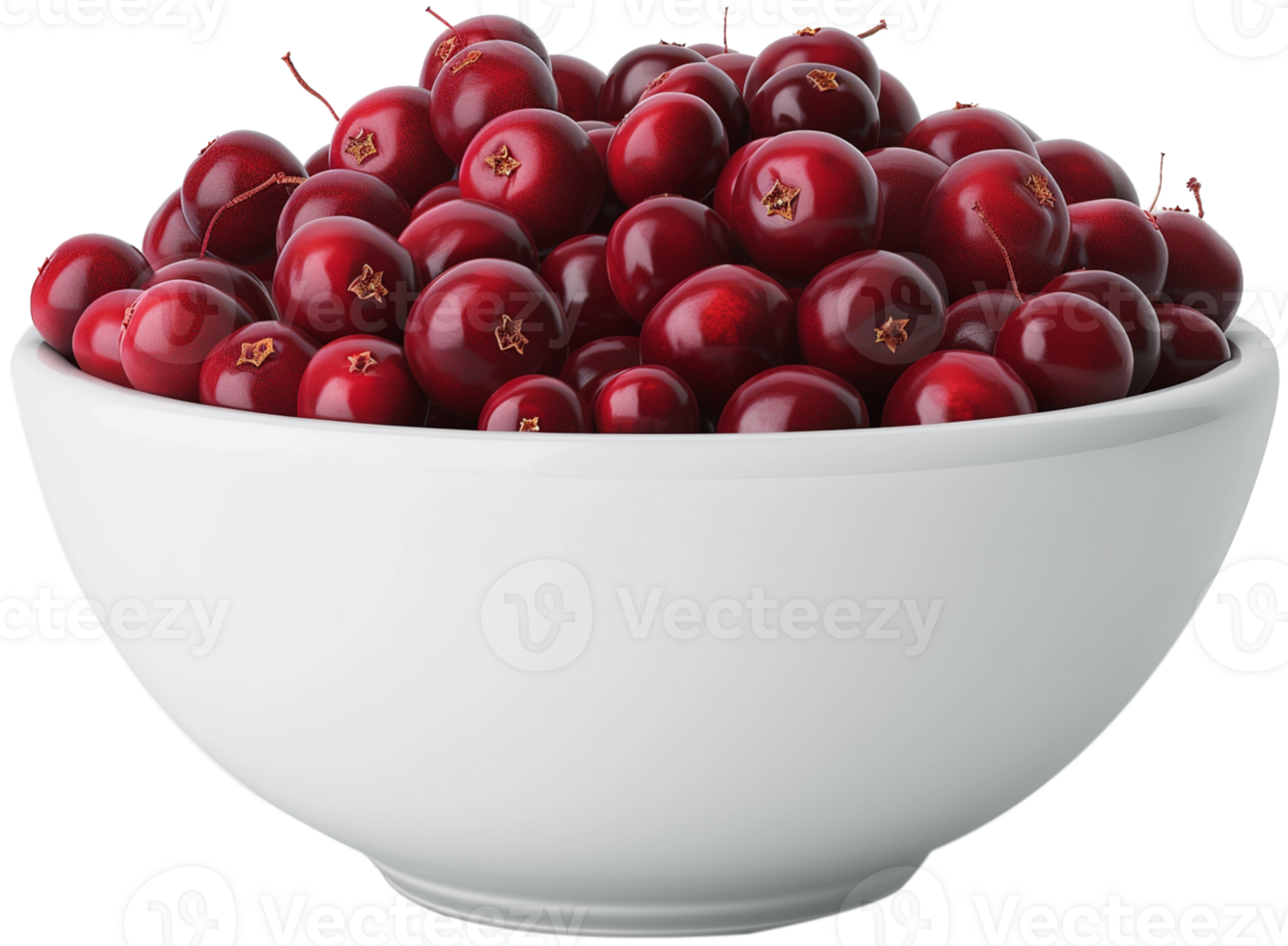 Cranberries in a bowl isolated on a transparent background png
