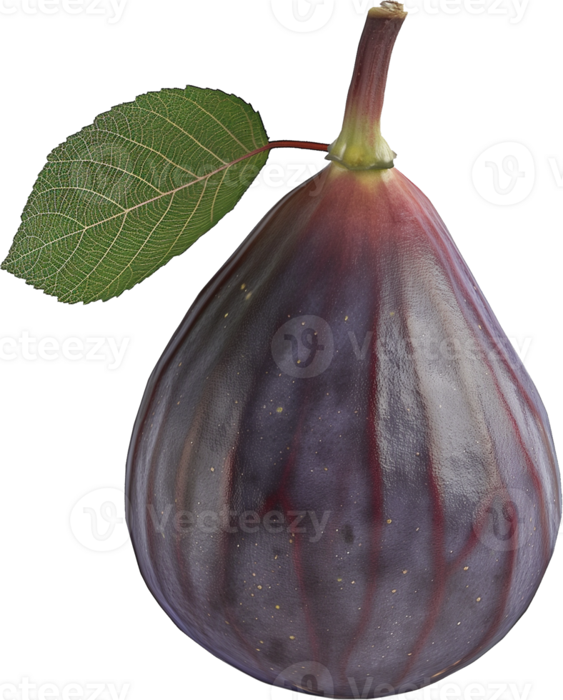 A fig with leaf isolated on a transparent background png
