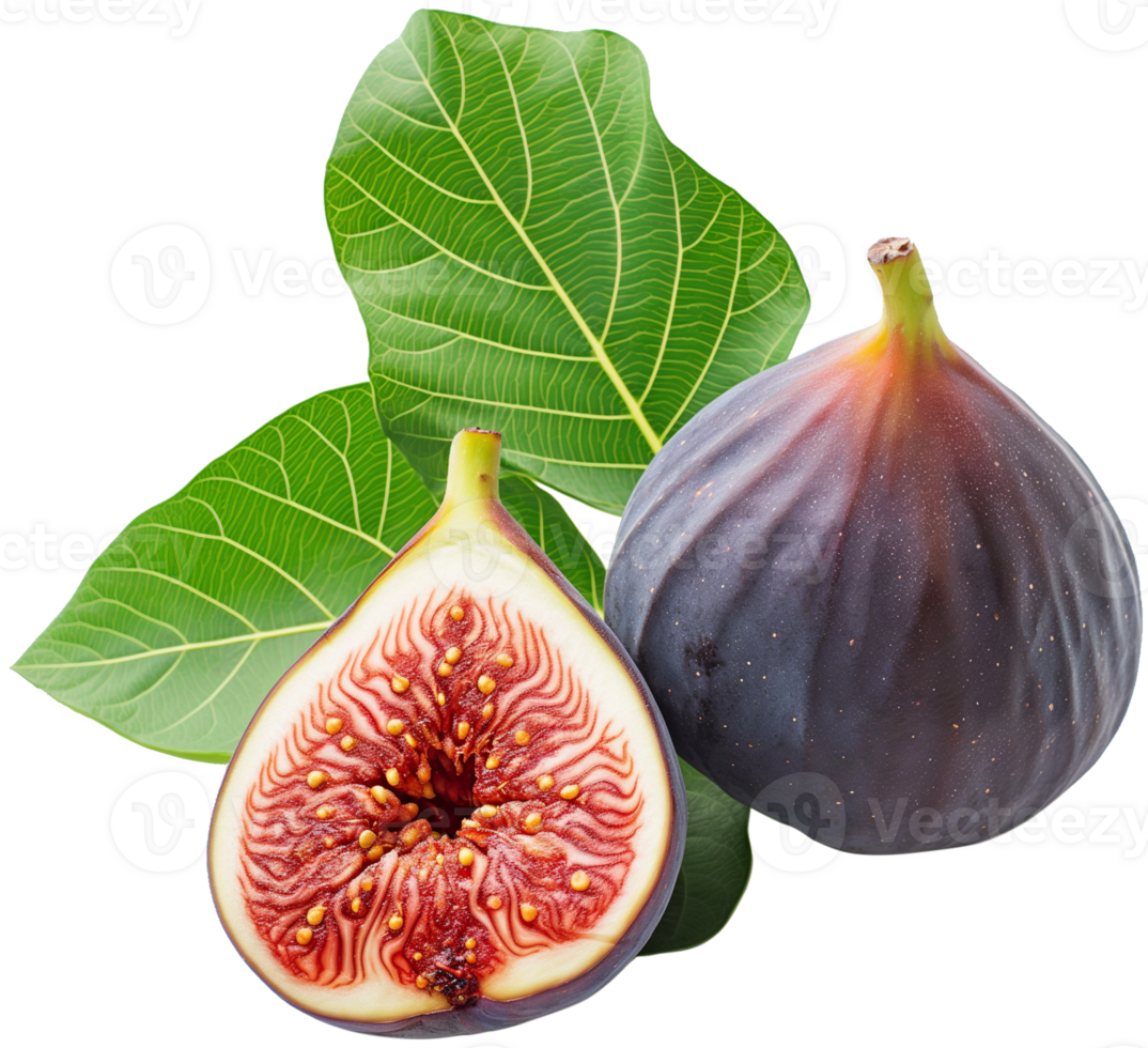 A delicious figs isolated on a transparent background png