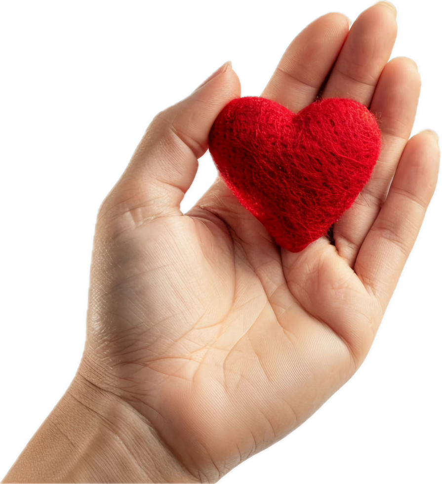 Hand Holding Red Heart Symbol. png