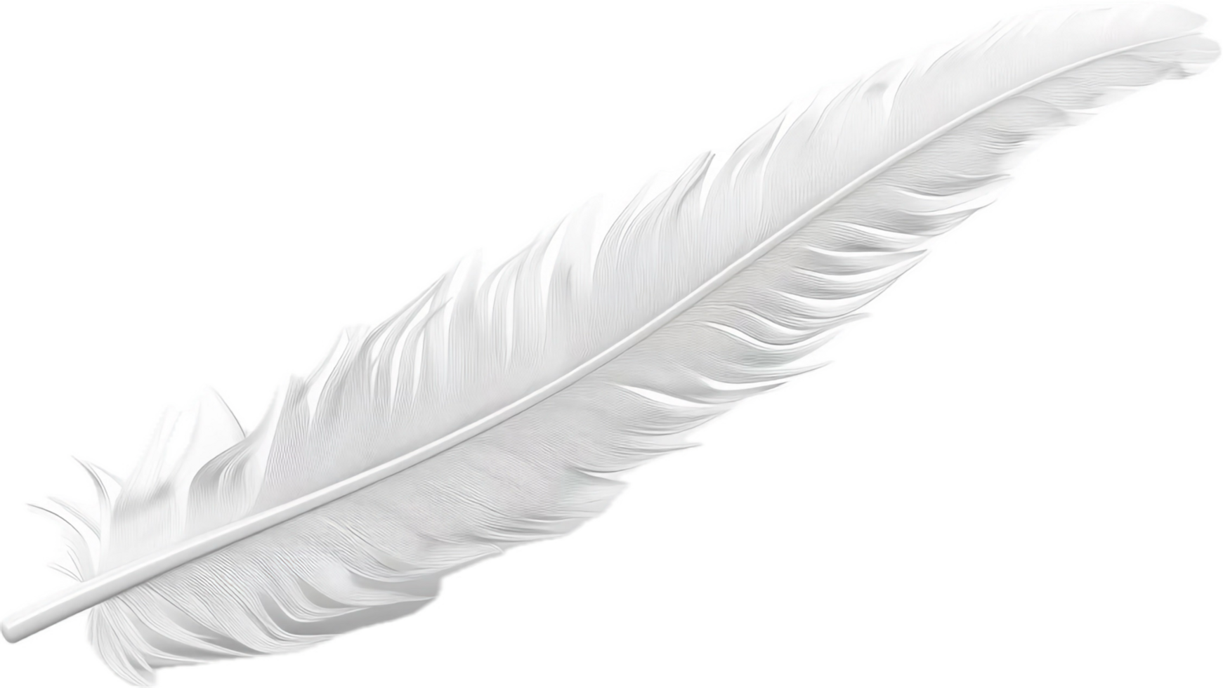 Close-Up of a White Feather. png