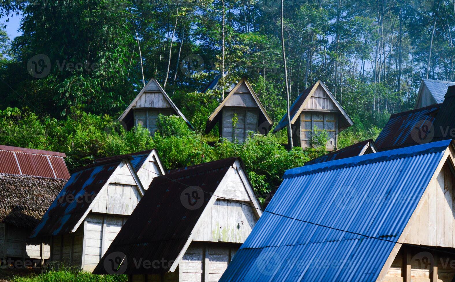 Simple houses in the countryside with a backdrop of tall trees and clear skies photo