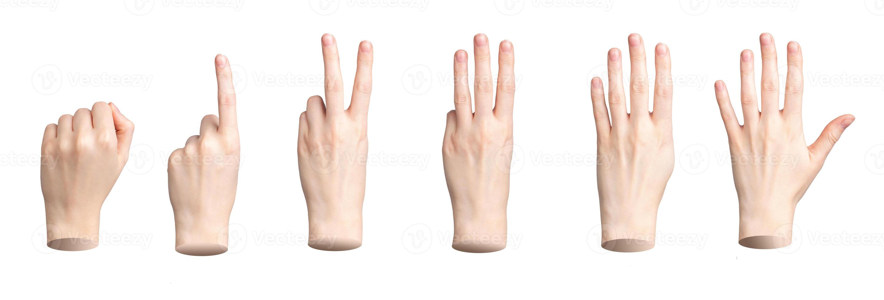Hand showing fingers counting. One, two, three, four, five numbers isolated. Gestures for count, photo