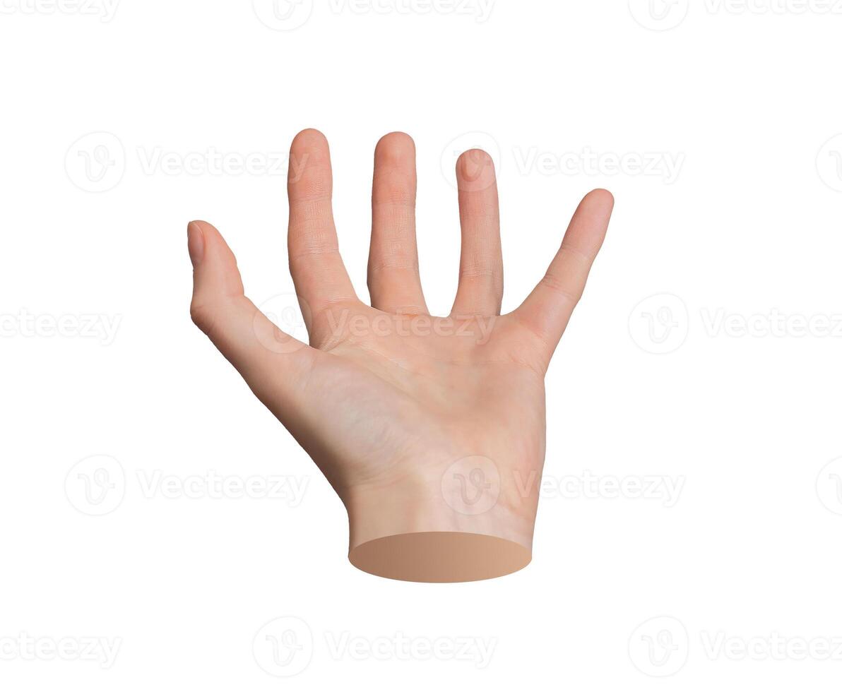 Cup-shaped and holding, taking something invisible, gesture, sign isolated on white background photo