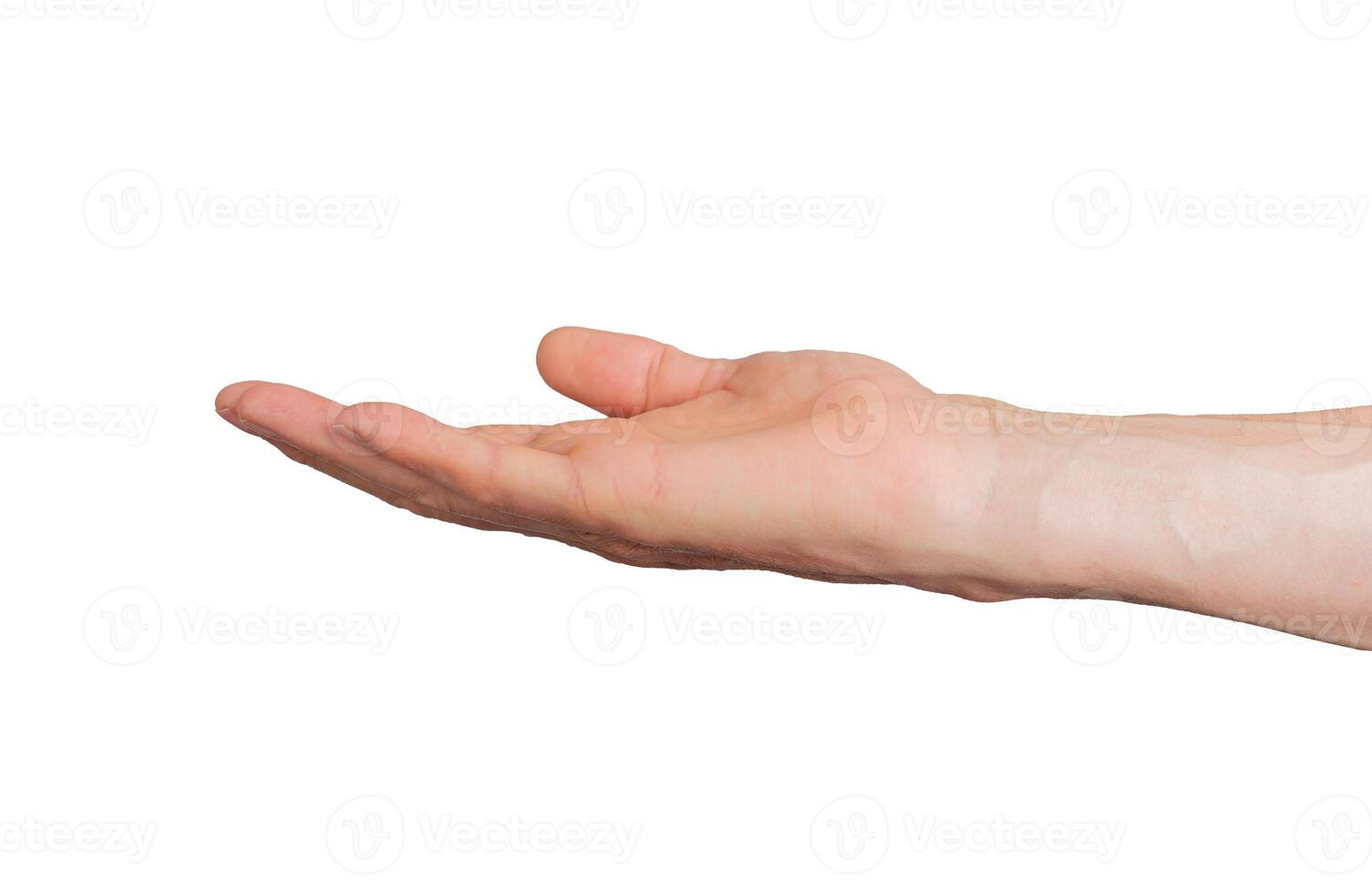 empty palm, hand gesture, sign isolated on white background photo