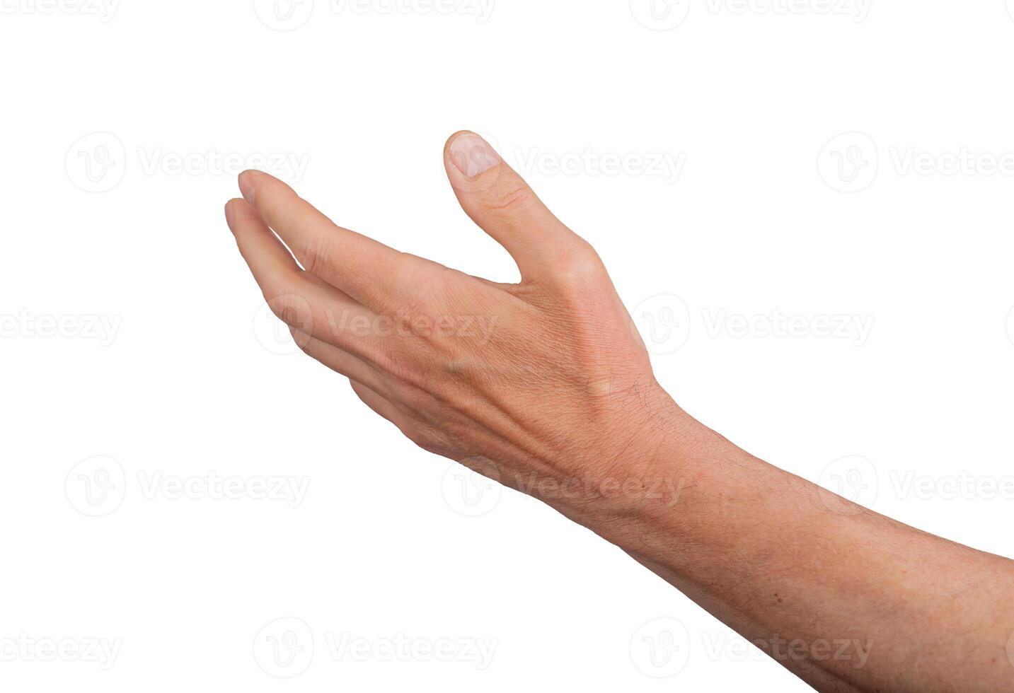 Hand palm open stretching reach outstretched. Empty out give hold white gesture isolated. Show side photo