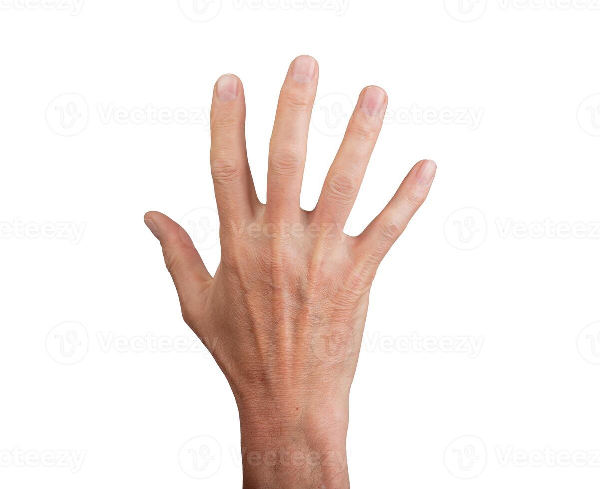 Hand waving hello or goodbye, isolated on white background. Open palm with fingers spread, ideal for photo