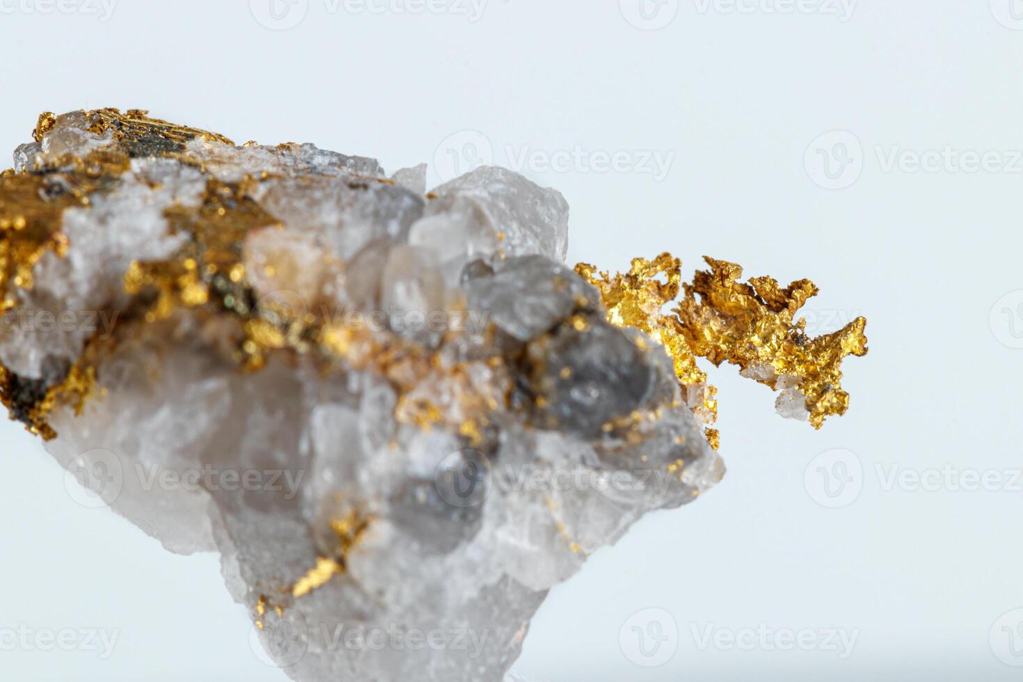 macro mineral stone metal gold in quartz on a white background photo