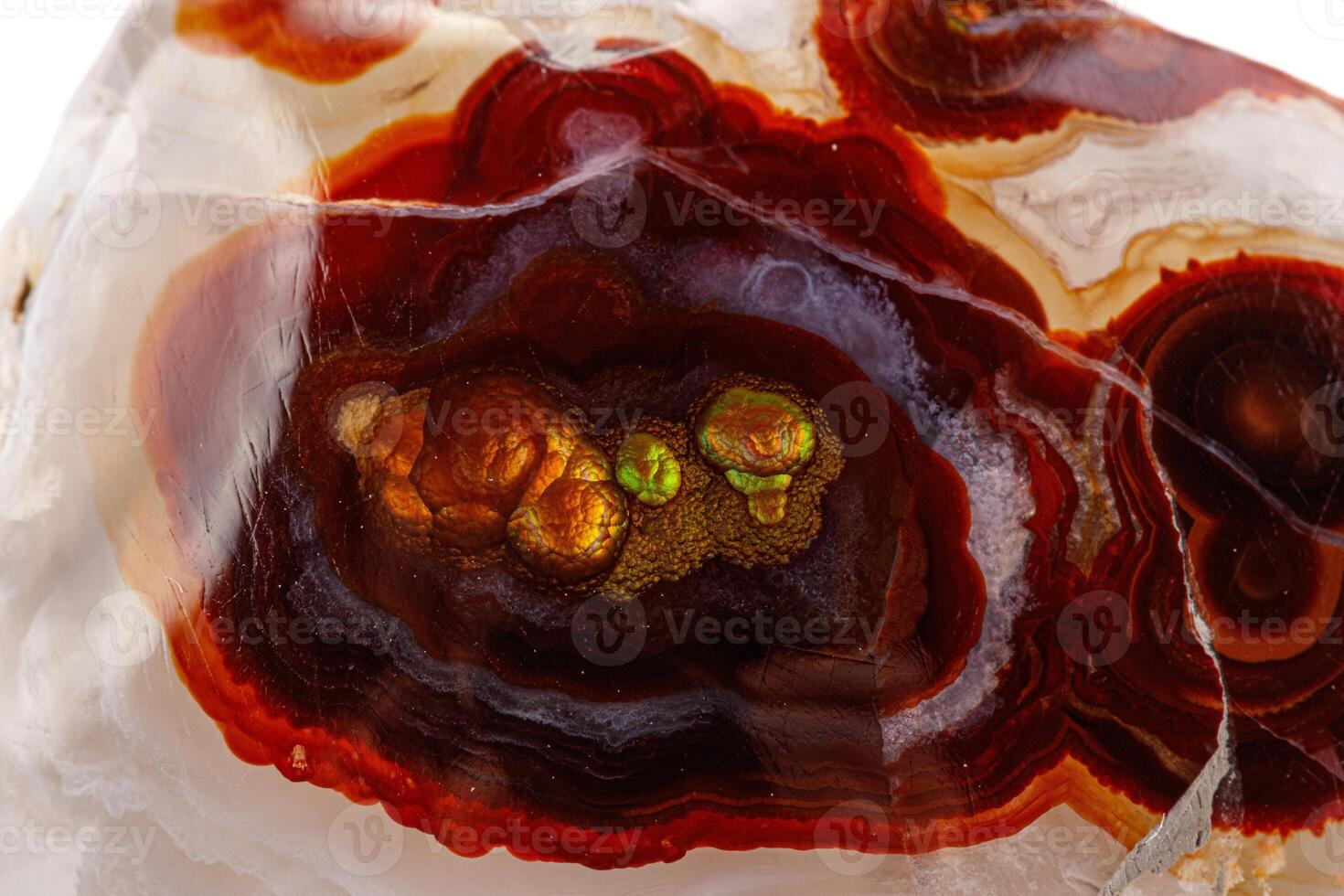 macro mineral stone fire agate on a white background photo