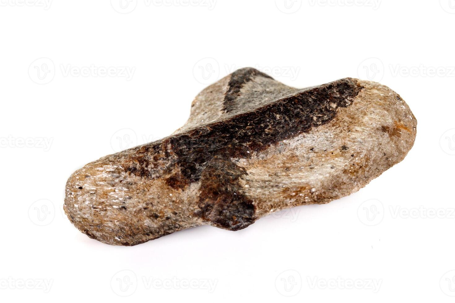 macro mineral stone Staurolite on a white background photo
