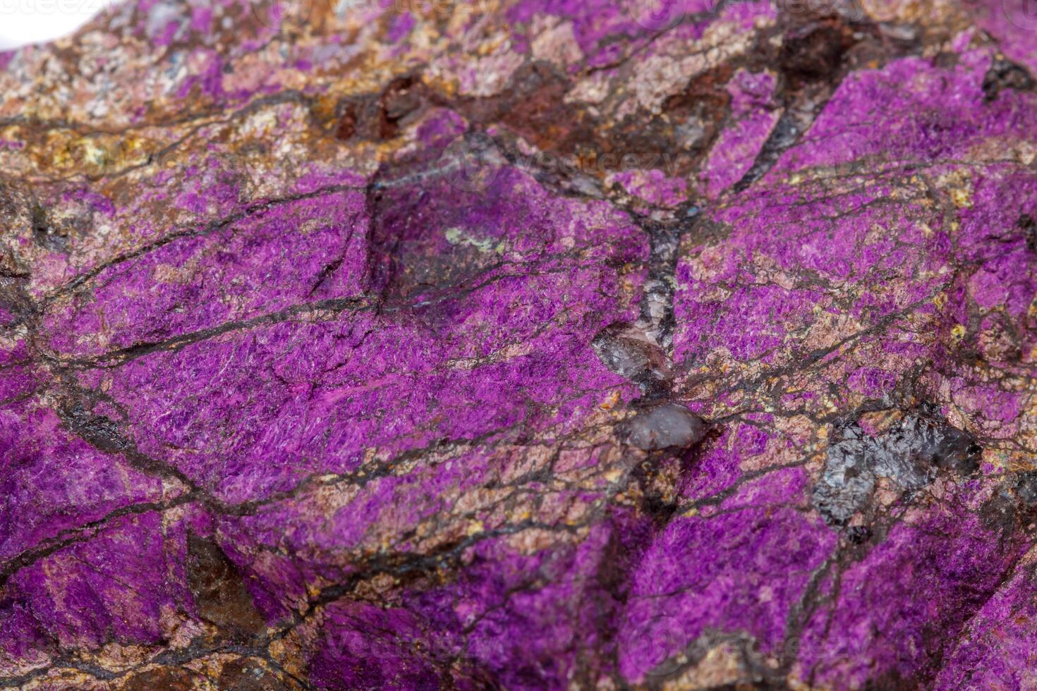 Macro mineral stone purpureus, purple purpurite in the breed a white background photo