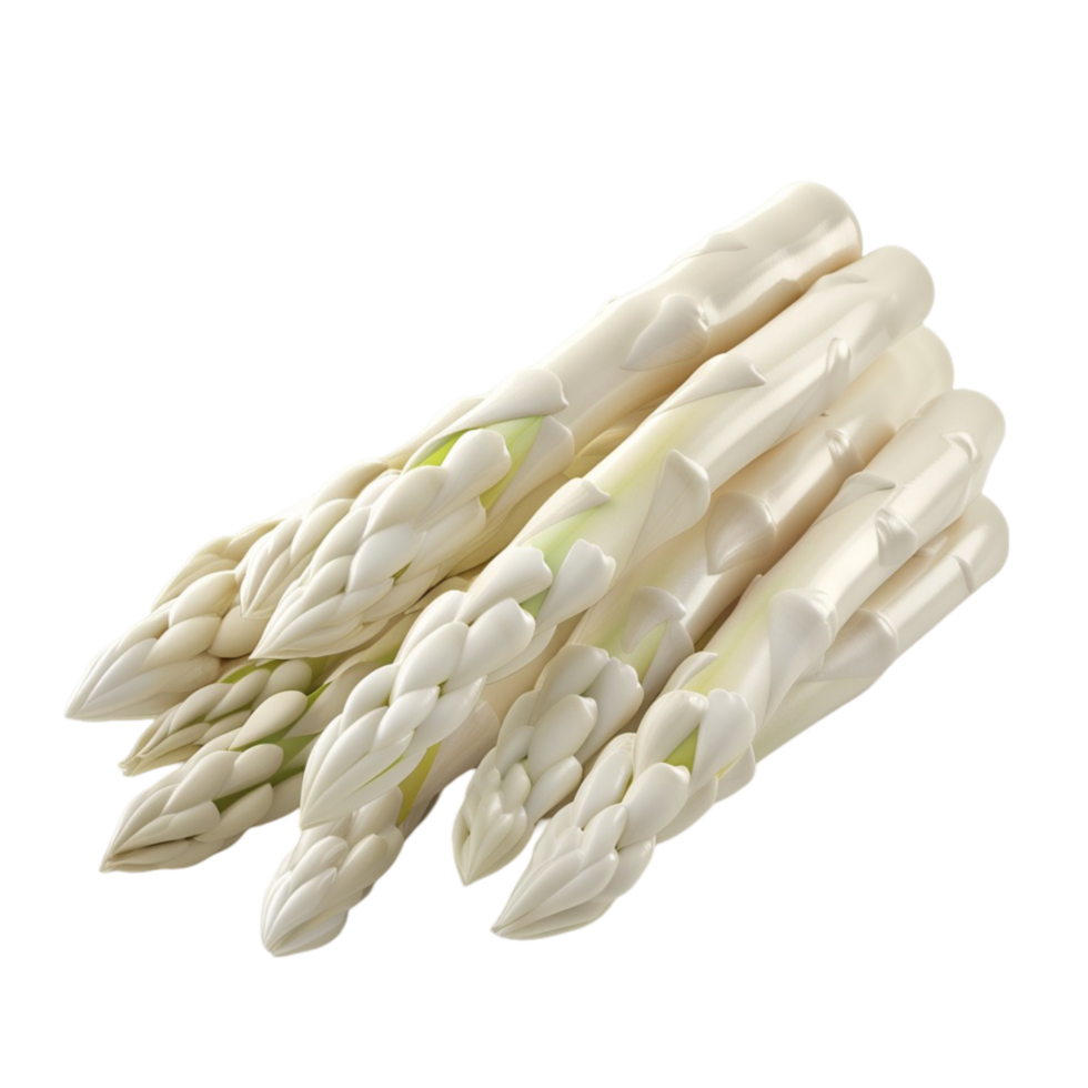 Asparagus on Transparent Background AI-Generative png