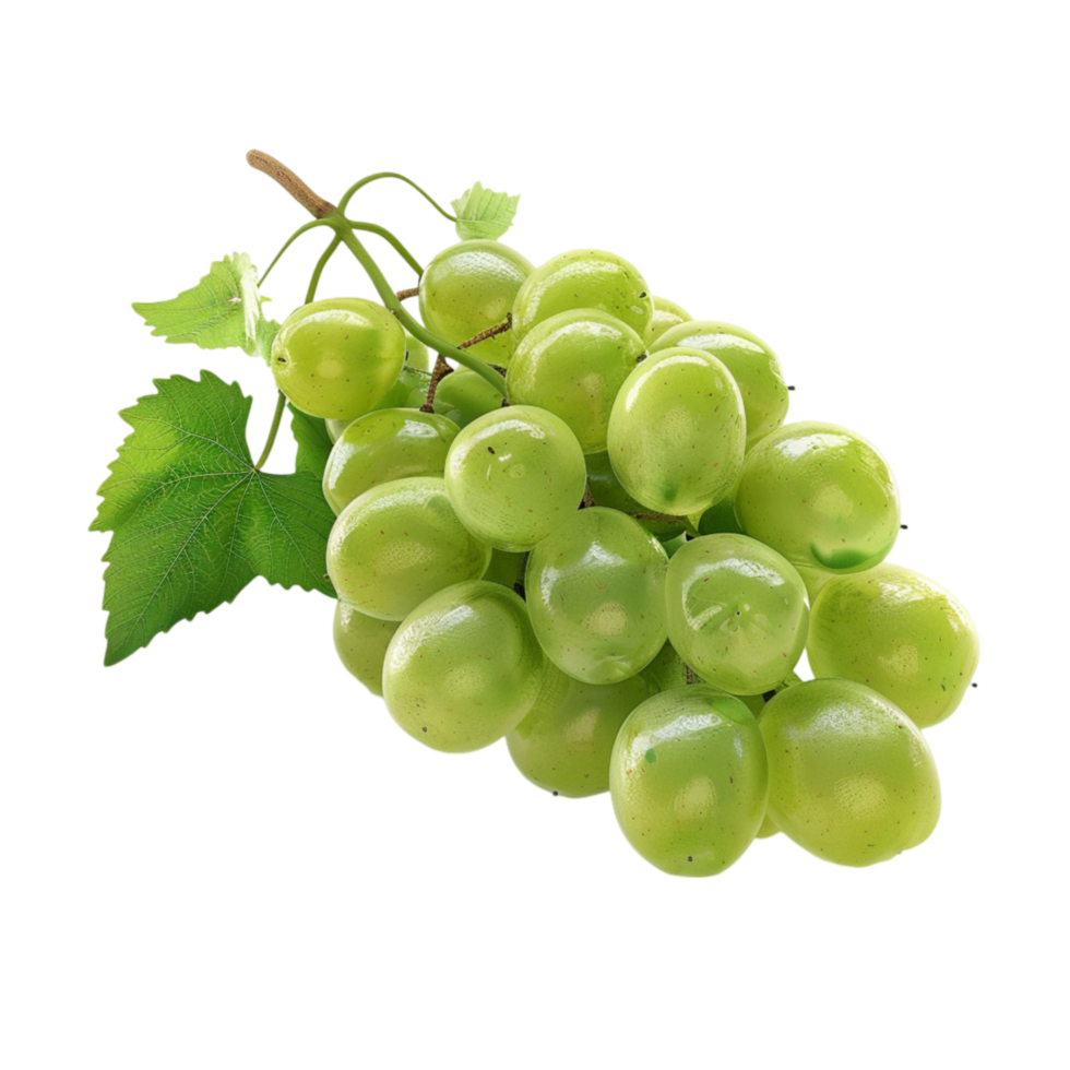 Grapes on a Branch with Leaves on Transparent Background AI-Generative png