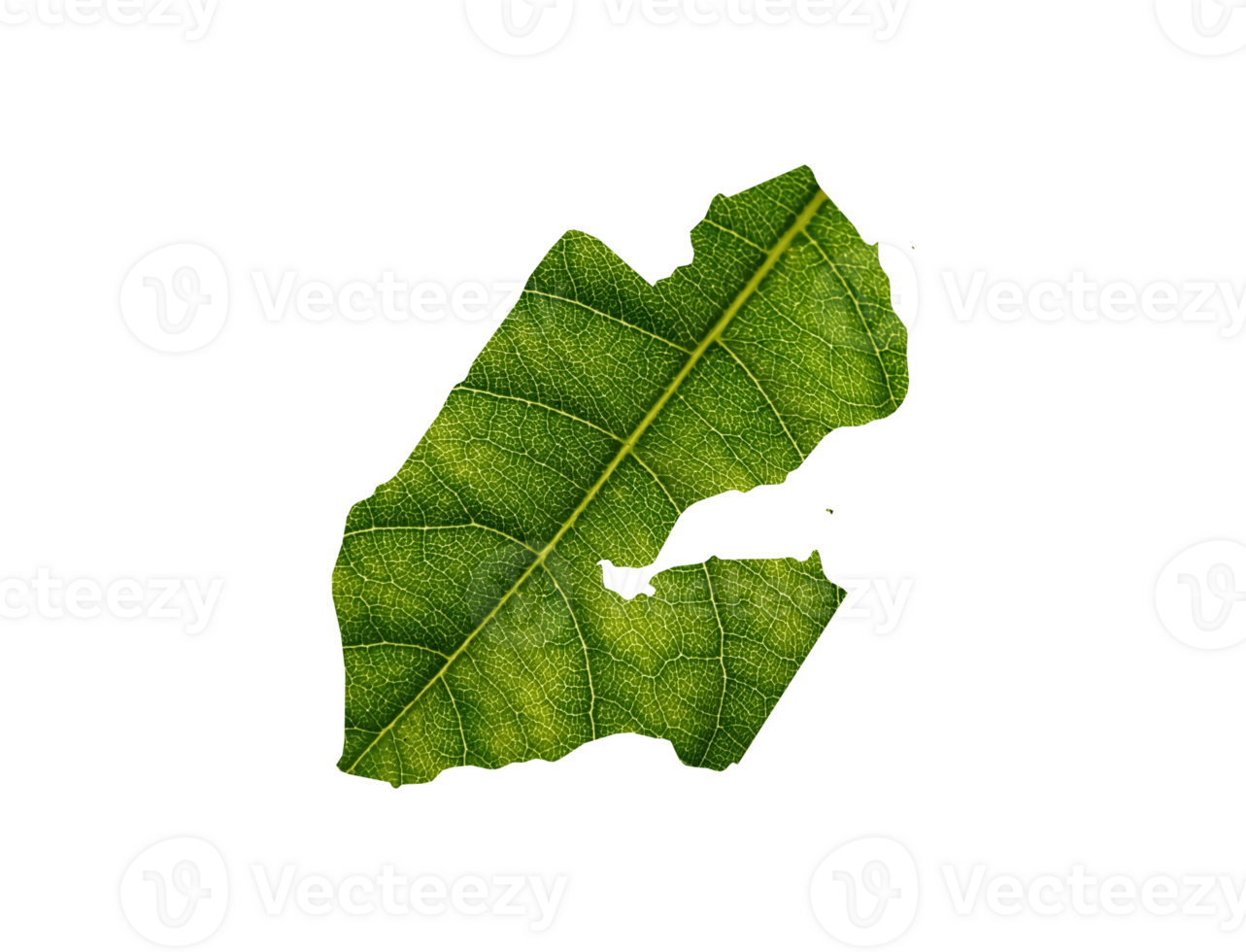 Djibouti map made of green leaves ecology concept png