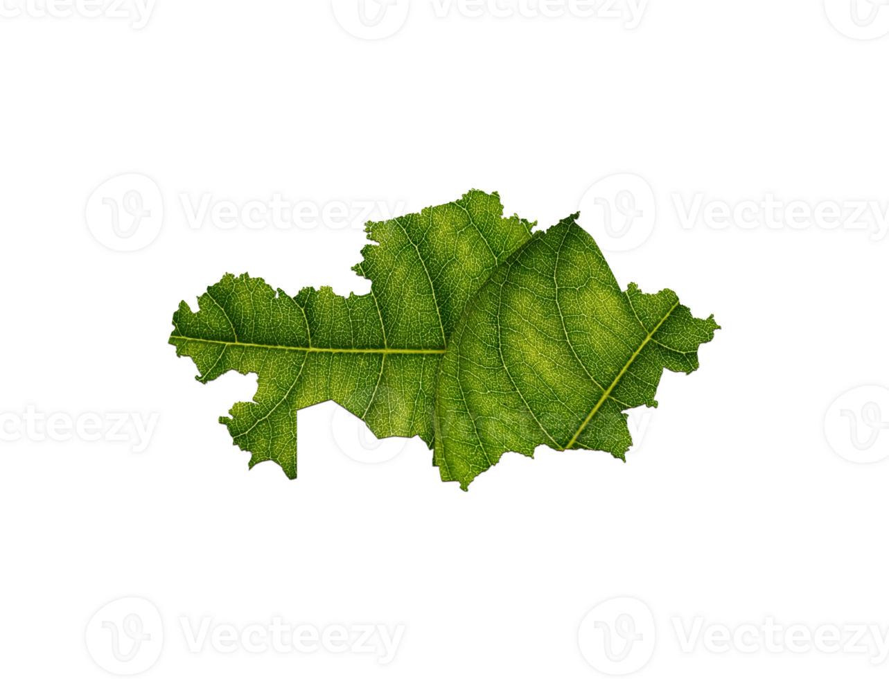 Kazakhstan map made of green leaves ecology concept png