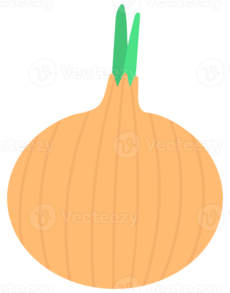 Kid hand drawn cute healthy food vegetables onion png