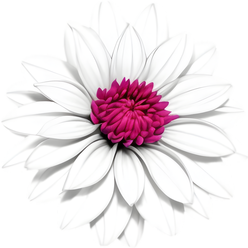 Delicate white dahlia blooms enchant with pristine petals. AI-generated. png