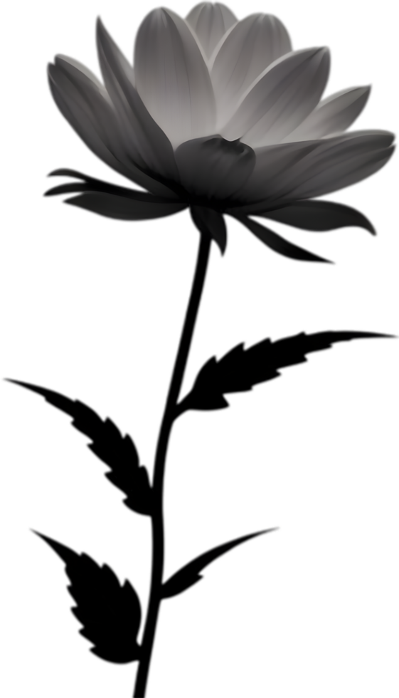 Delicate white dahlia blooms enchant with pristine petals. AI-generated. png