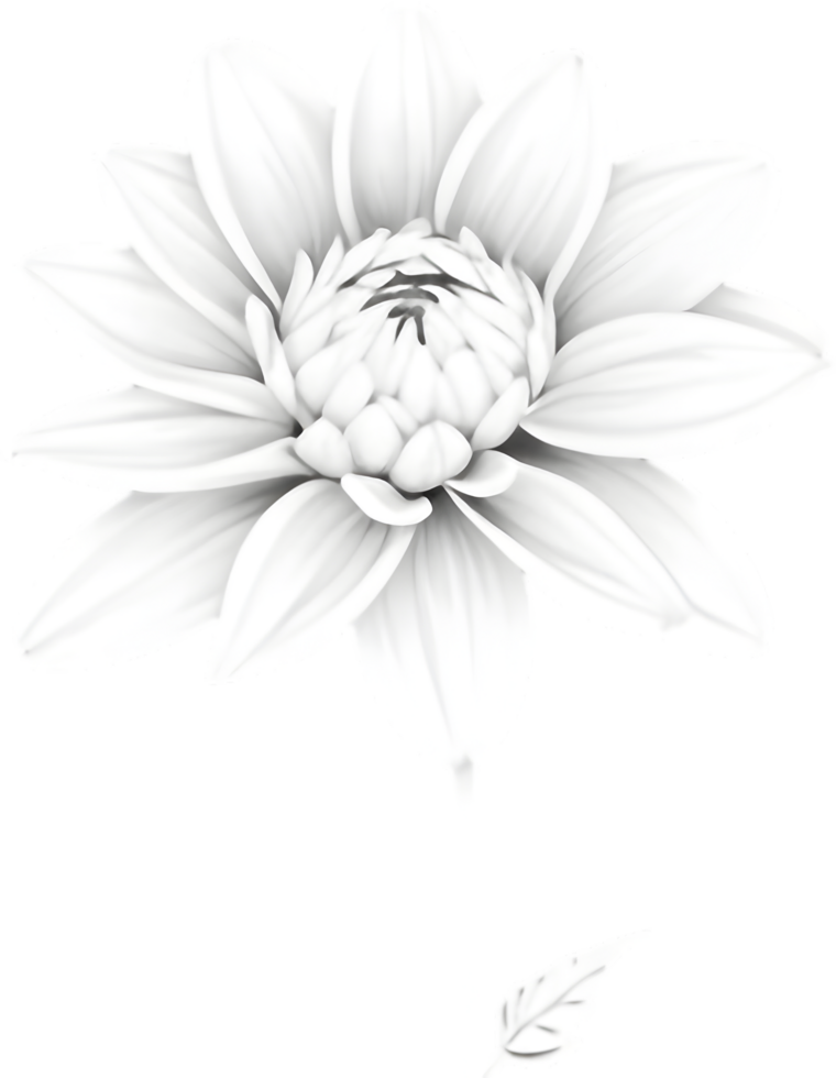 Delicate white dahlia blooms enchant with pristine petals. AI-generated. png