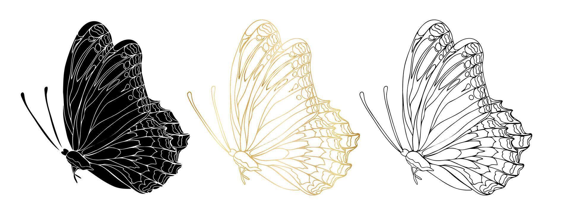 Butterfly hand drawn illustration vector