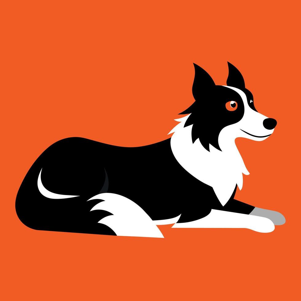 Border Collie Dog lies icon illustration vector
