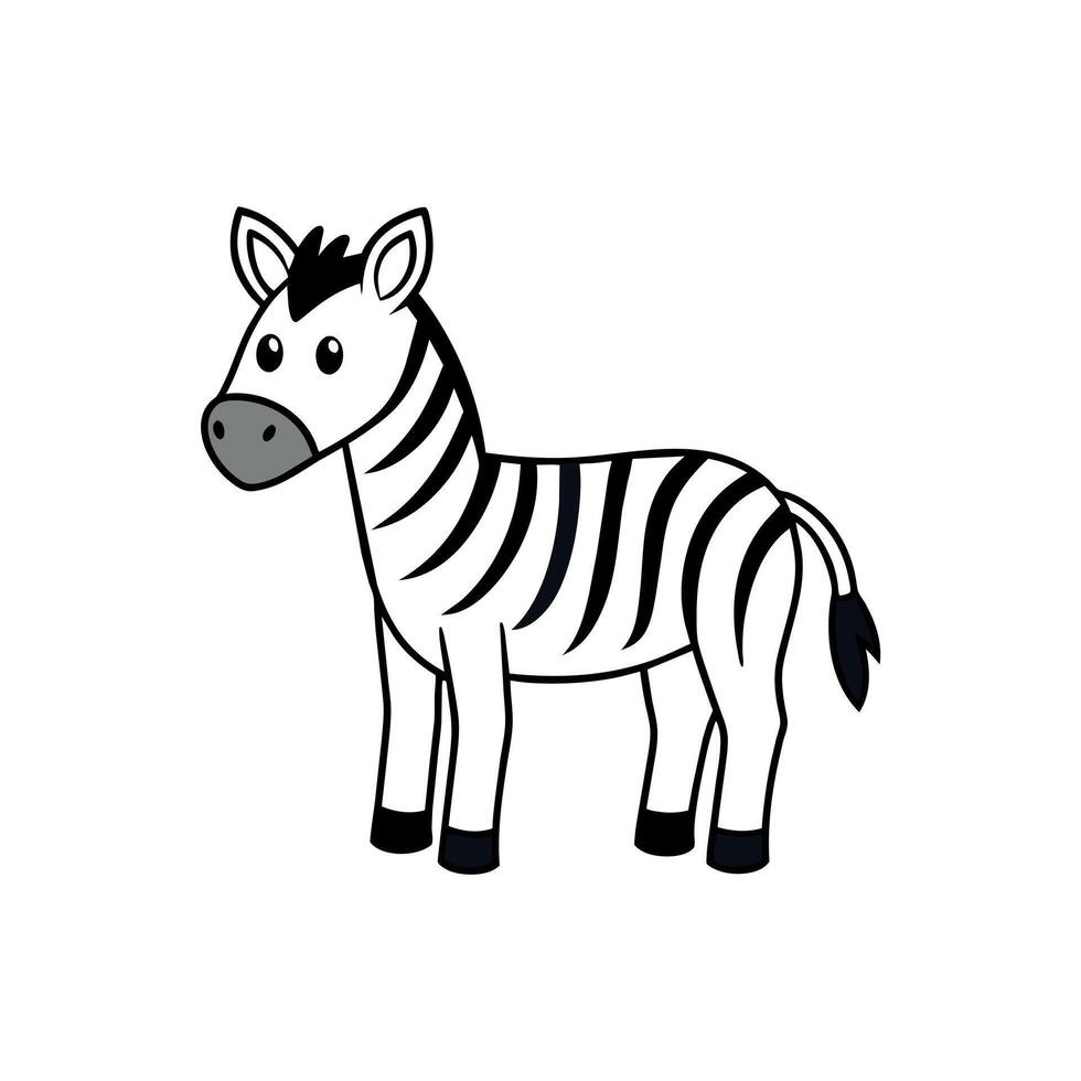 Burchells Zebra looks icon illustration vector