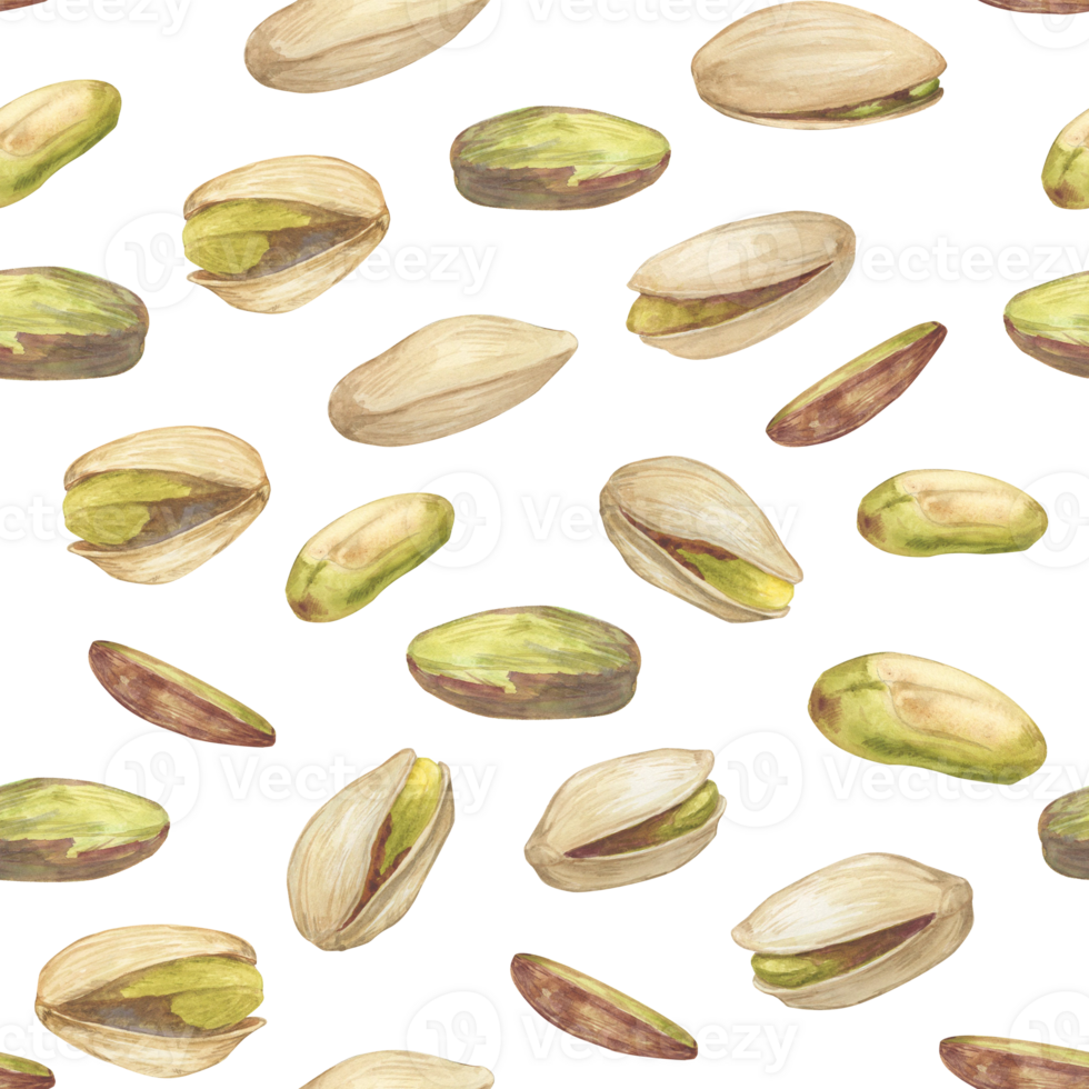Seamless pattern with pistachio nut watercolor illustration, floating in the air composition. Botanical drawing sketch stylized. Hand drawn, suitable for food packaging design png