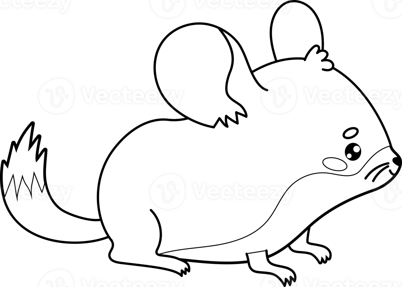 Outline cute chinchilla png