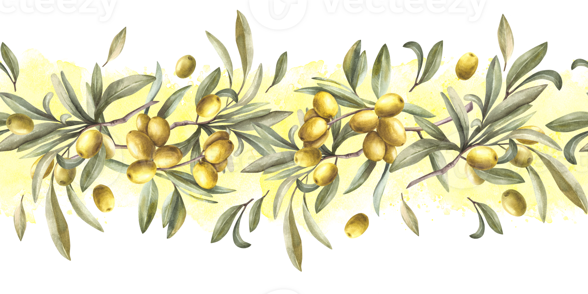 Olive tree branch with green leaves and berries on watercolor splashes background. Seamless border, pattern. Hand painted illustration. Botanical clipart for oil label, floral summer print. Isolated. png