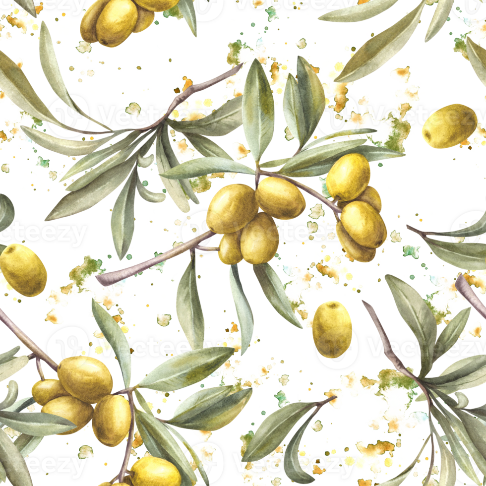 Olive tree branch with green leaves and berries on watercolor splashes stains background. Seamless pattern Hand painted illustration Botanical clipart for oil food packing, textile wallpaper. Isolated png