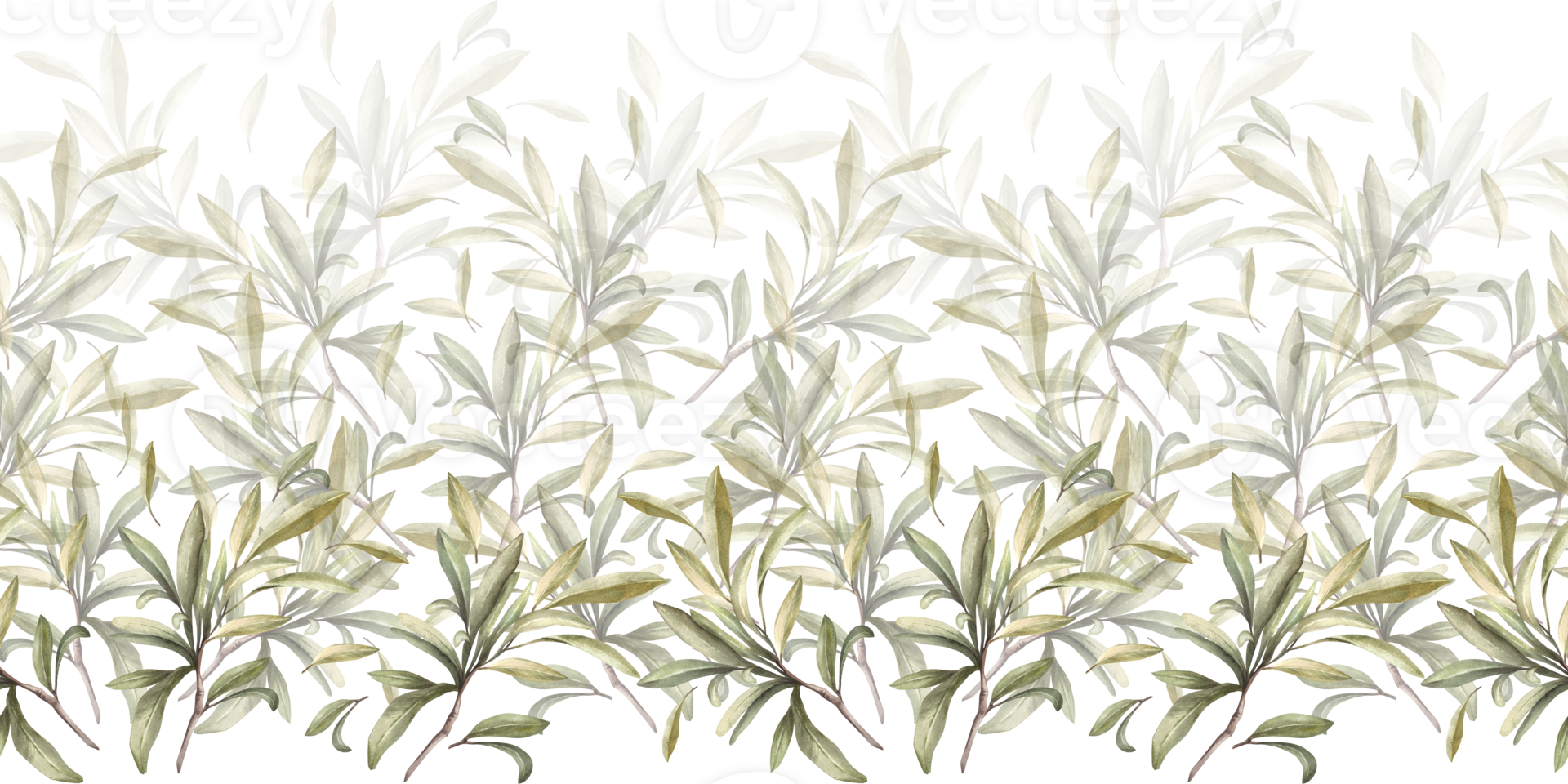 Olive branch, no fruit with green leaves. Watercolor botanical floral seamless border, pattern Hand drawn nature leaf illustration for food oil label paper, wallpaper, packaging on isolated background png