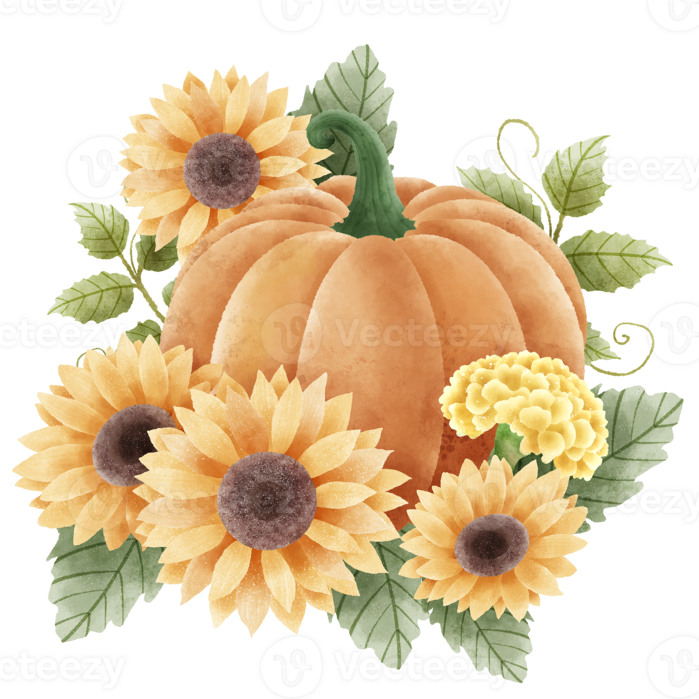 Watercolor Hand drawn illustration Rustic watercolor autumn pumpkin sunflower marigold flowers maple foliage fall bouquet Arrangement. png