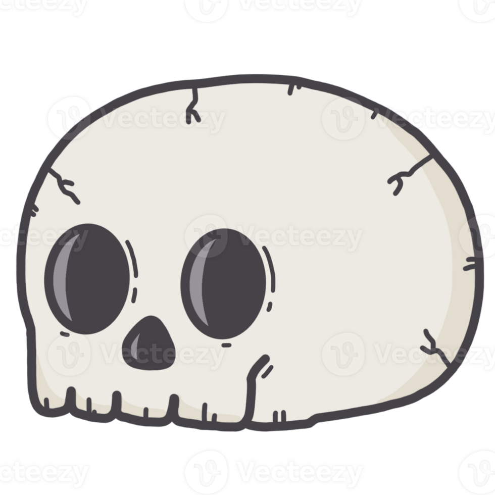 white skull halloween png
