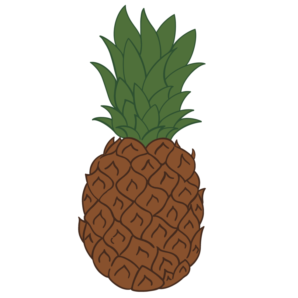 Pineapple Tropical Fruit Illustration png