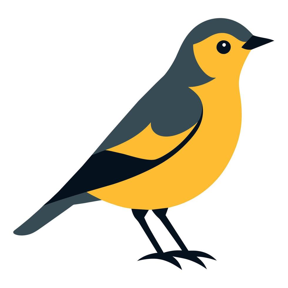 Canada Warbler bird looks icon illustration vector
