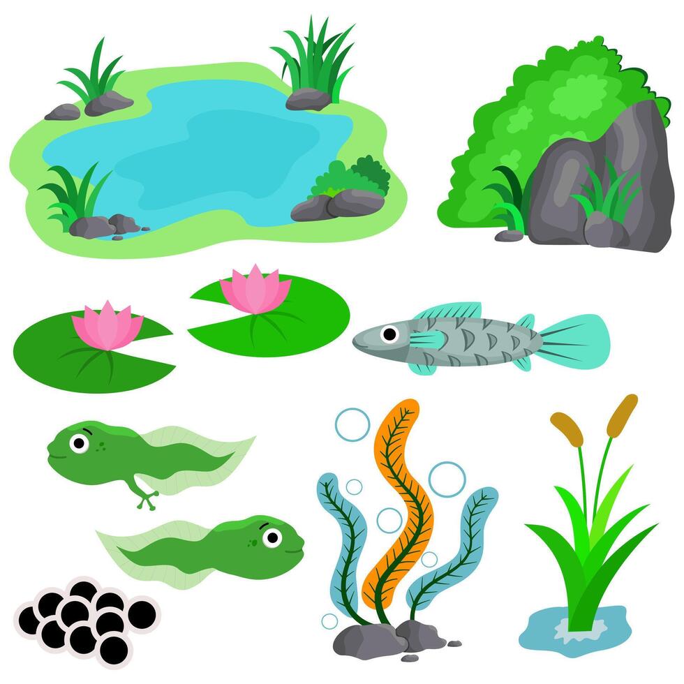 Pond rock Grass Lotus tadpoles fish seaweed reed. Ecology of pond cartoon, cute illustration vector